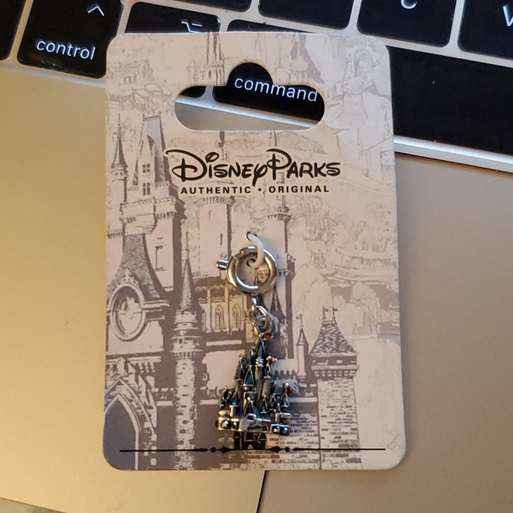 Disney Parks charm